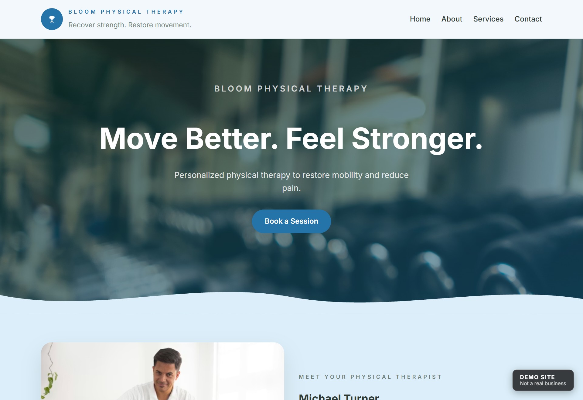 Physical Therapy demo preview